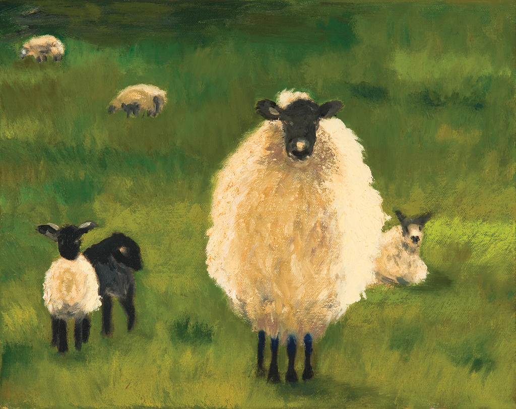 Sheep by Nancy Ziegler